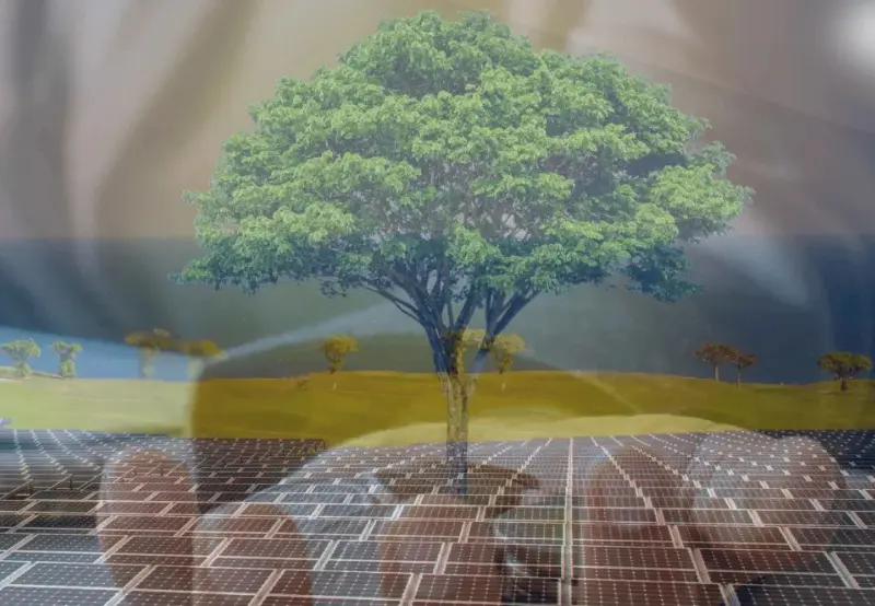 India Surpasses China in Clean Energy Growth