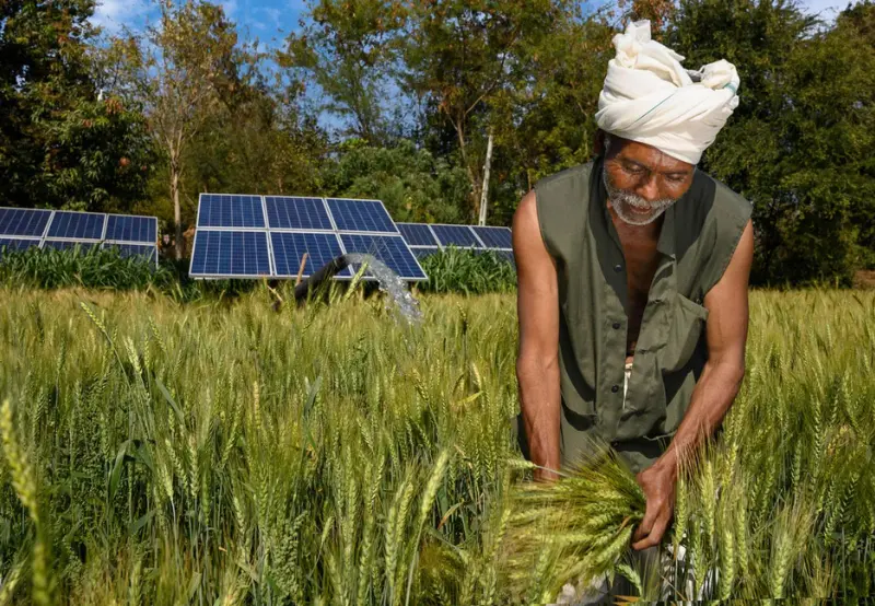 Solar Power in Indian Agriculture