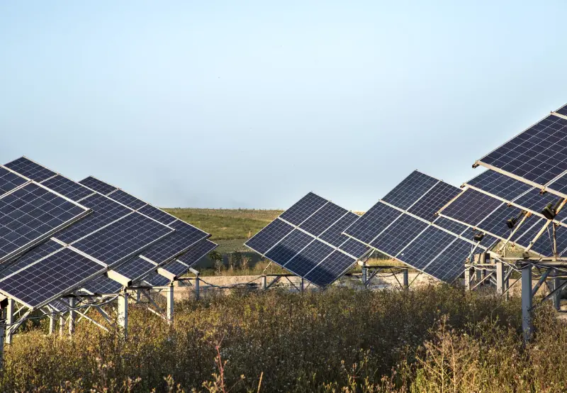 India Delays Grid Rules, Easing Pressure on Renewable Firms